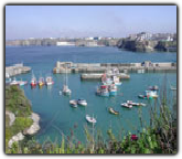 Click to enlarge.. Newquay Harbour from the Red Lion Pub